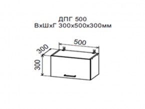 Шкаф верхний ДПГ500 горизонтальный в Берёзовском - beryozovskij.магазин96.com | фото